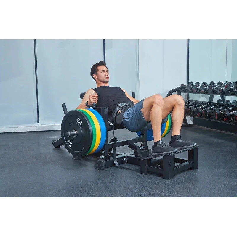 Multi-Function Thrust Hine Glute Drive Plate Lod Lift Sport Fitns Equipment Leg Training Gym Use
Multi-Function Thrust Hine Glute Drive Plate Lod Lift Sport Fitns Equipment Leg Training Gym Use