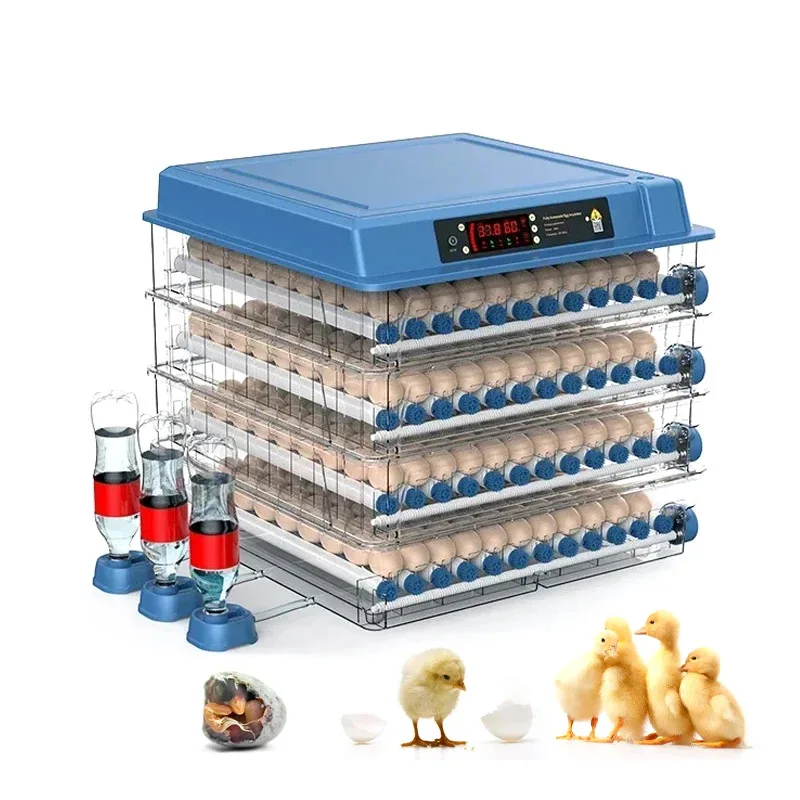 Farm Machinery Chicken Eggs Love Birds Mini Egg Incubator Full Automatic Haching Mac
Farm Machinery Chicken Eggs Love Birds Mini Egg Incubator Full Automatic Haching Mac