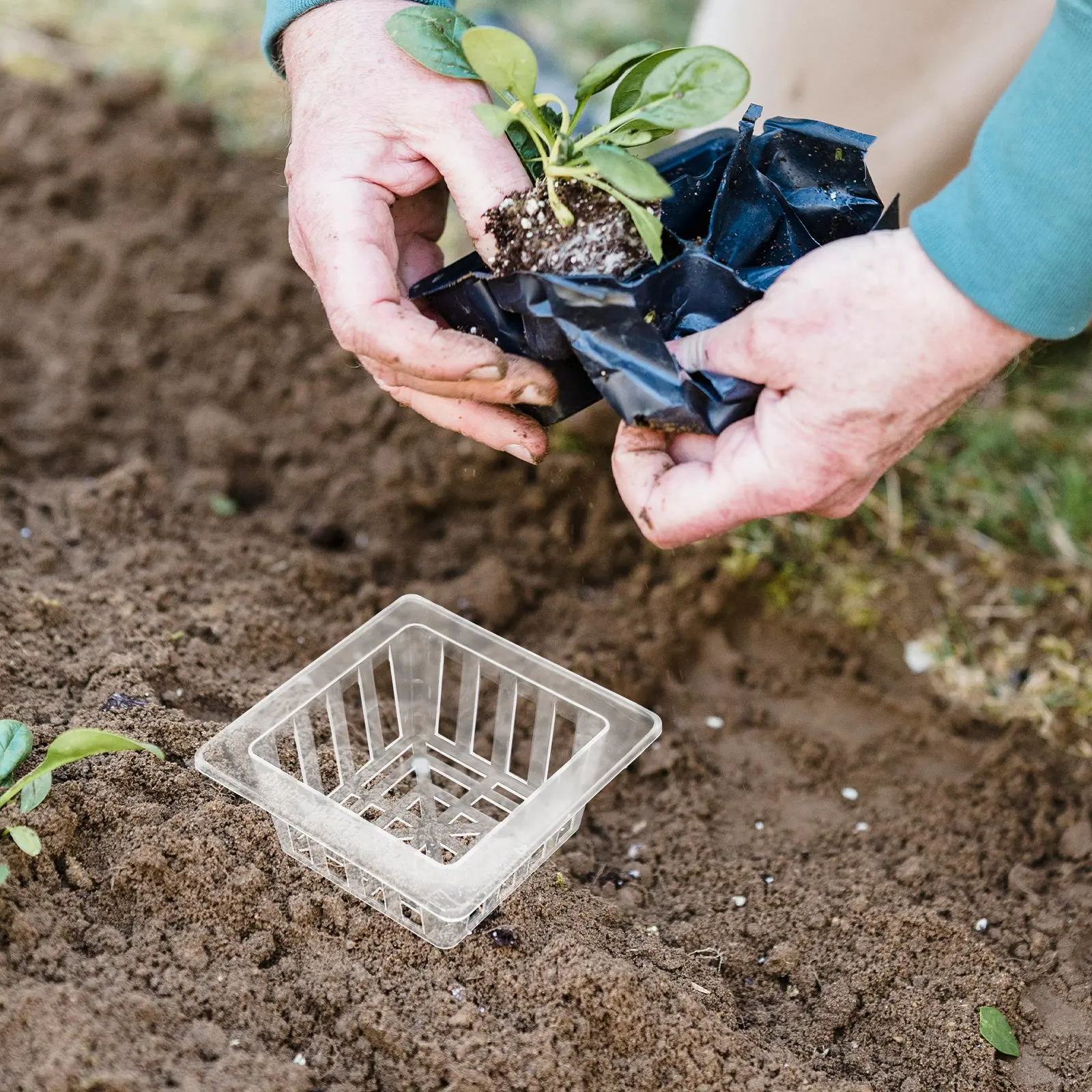 20Pcs Root Stabilizer Tool Transparent Square Net Pots Plastic Mesh Basket Hydroponics Seedling Starter Vegetable Cultivation
20Pcs Root Stabilizer Tool Transparent Square Net Pots Plastic Mesh Basket Hydroponics Seedling Starter Vegetable Cultivation