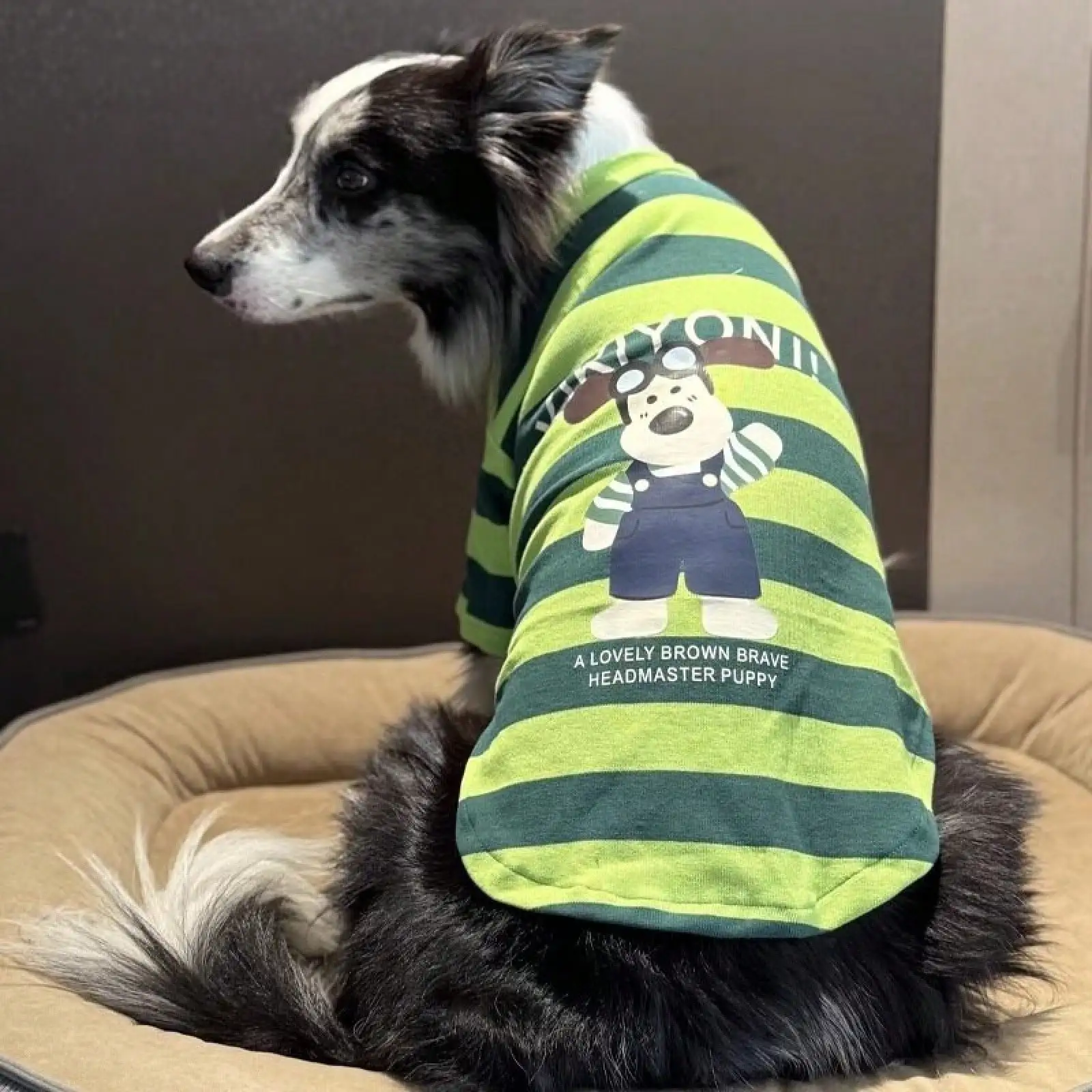 A Spring/ Clothing Item, Green Striped Pet Dog Apparel, Vests For Large, Medium, And Small Dogs
A Spring/ Clothing Item, Green Striped Pet Dog Apparel, Vests For Large, Medium, And Small Dogs
