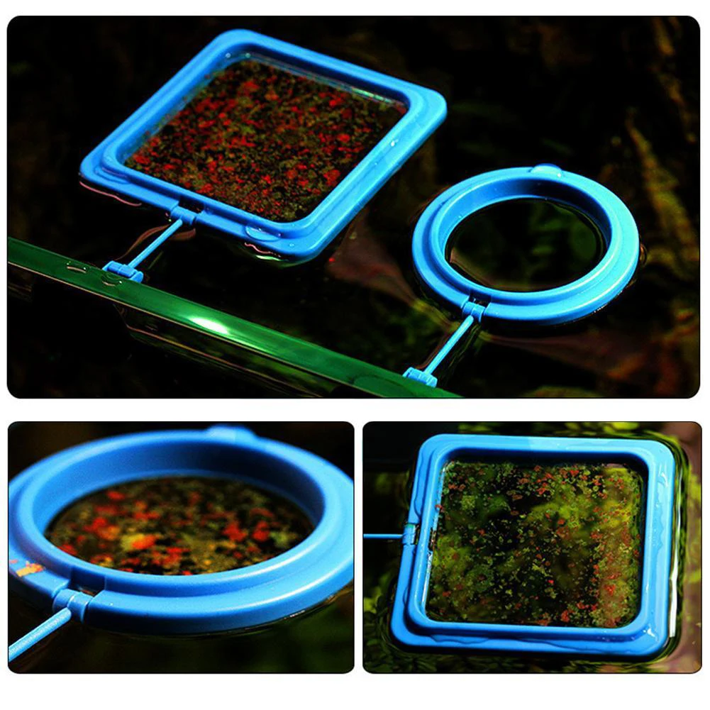 1pcs PVC Fish Food Feeding Ring Aquarium Fish Tank Fish Feeder For Tropical Fish Food Feeding Assistant Drop Shipping
1pcs PVC Fish Food Feeding Ring Aquarium Fish Tank Fish Feeder For Tropical Fish Food Feeding Assistant Drop Shipping