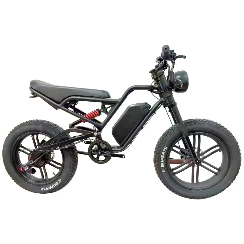 48V 500 Watt Electric Off-Road Mountain Bike with 20 Inch Snowmobile Steel Fork Disc Brakes
48V 500 Watt Electric Off-Road Mountain Bike with 20 Inch Snowmobile Steel Fork Disc Brakes