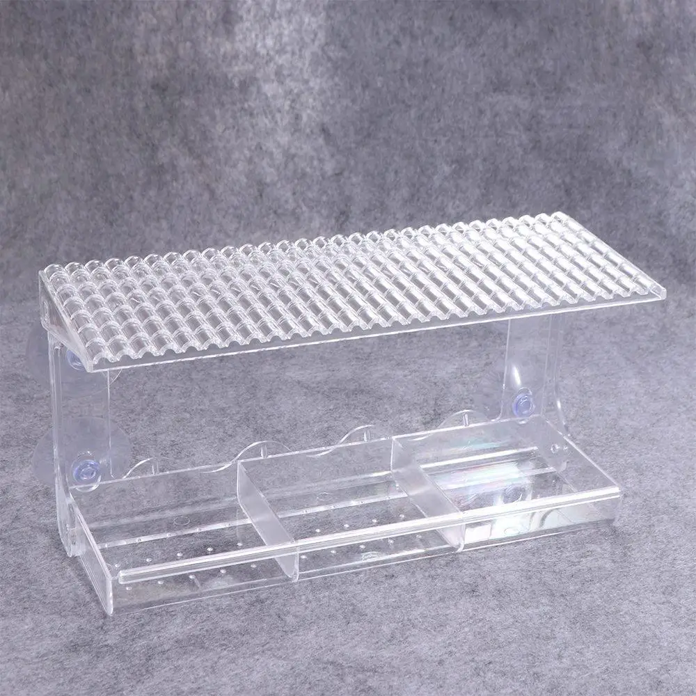 Clear Window Bird Feeder Drainage Hole Detachable Bird Feeding Trays 3 Compartments Durable Transparent Bird House Garden
Clear Window Bird Feeder Drainage Hole Detachable Bird Feeding Trays 3 Compartments Durable Transparent Bird House Garden