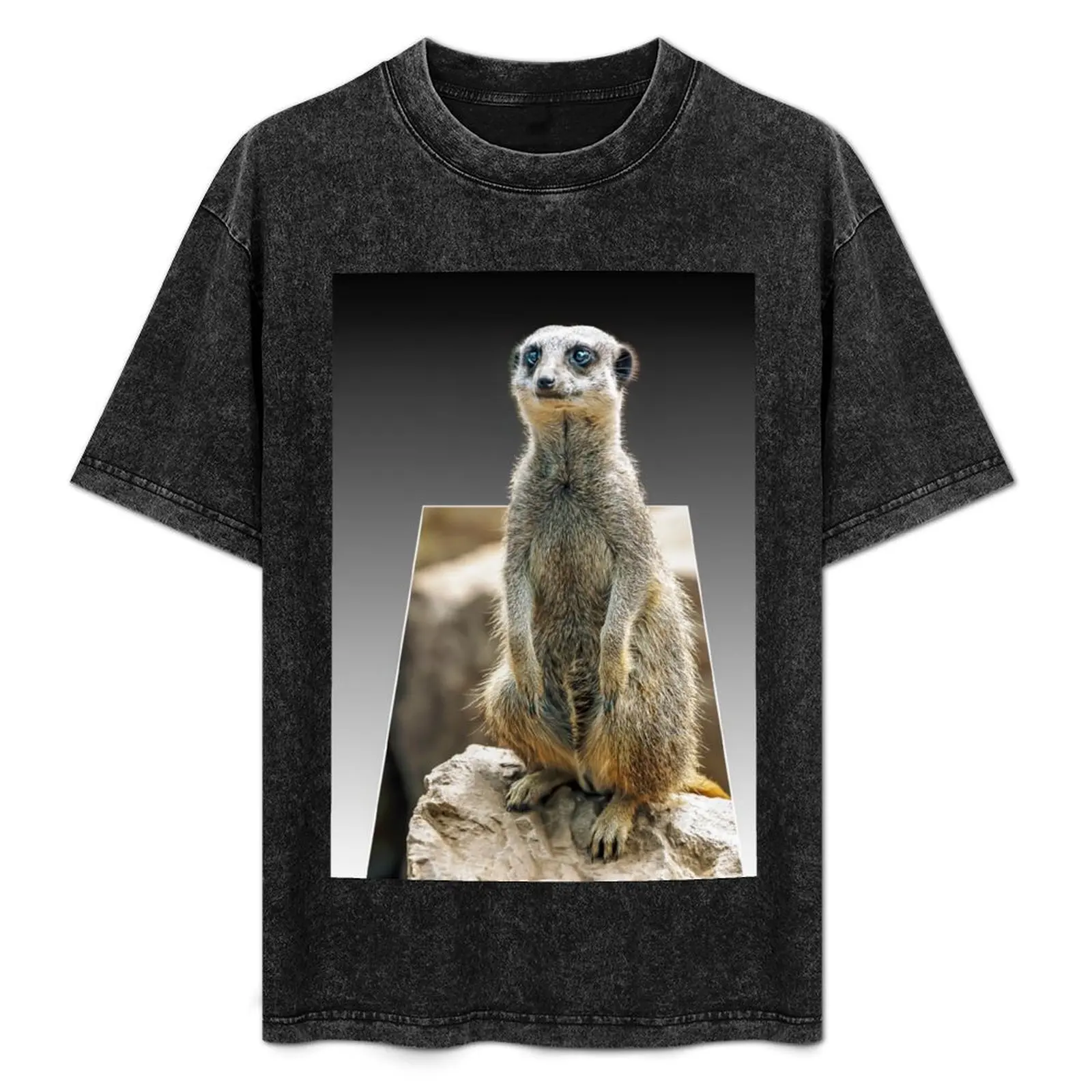 Meerkat Love T-Shirt Minimalist Casual Short Sleeve Top
Meerkat Love T-Shirt Minimalist Casual Short Sleeve Top