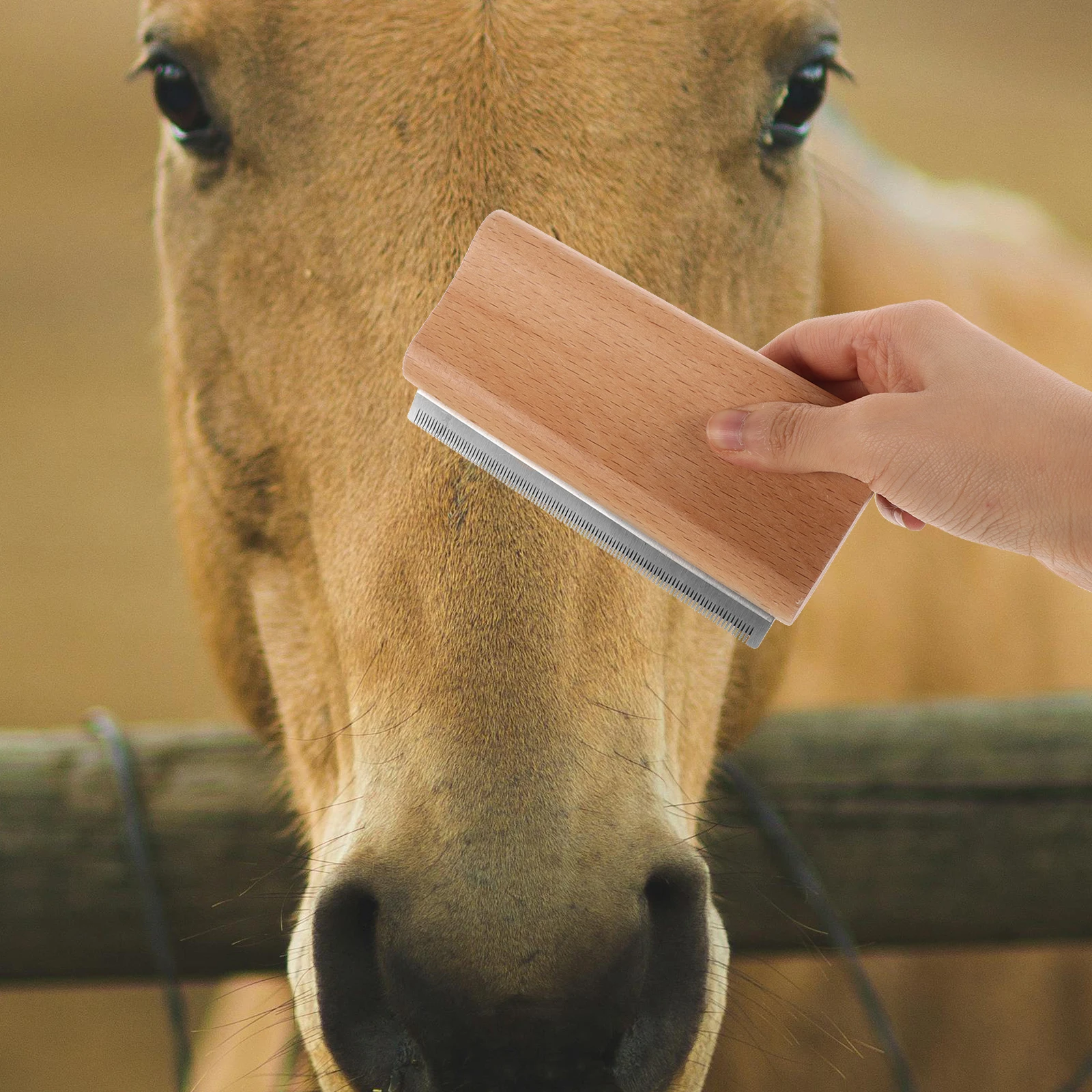 Pet Hair Removal Comb Dog Shedding Brush Stable Supplies Grooming Beech Deshedding Tools Bridegroom
Pet Hair Removal Comb Dog Shedding Brush Stable Supplies Grooming Beech Deshedding Tools Bridegroom