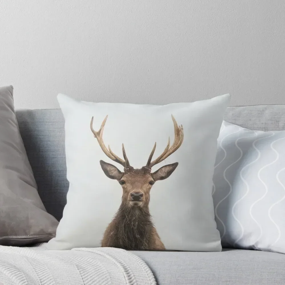 Sweet Solitude Throw Pillow Rectangular Cushion Cover christmas decorations for home 2025 Cushion Cover For Sofa pillow
Sweet Solitude Throw Pillow Rectangular Cushion Cover christmas decorations for home 2025 Cushion Cover For Sofa pillow