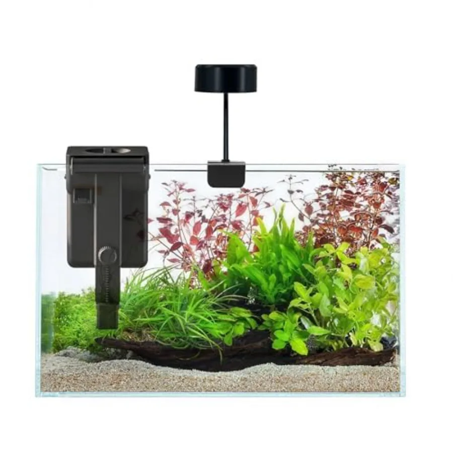 Fish Tank Starter Kits, Low Iron Glass Aquarium with Filter, Led Light for Aquascape DIY Small Betta Fish Tank 6 Gallons
Fish Tank Starter Kits, Low Iron Glass Aquarium with Filter, Led Light for Aquascape DIY Small Betta Fish Tank 6 Gallons