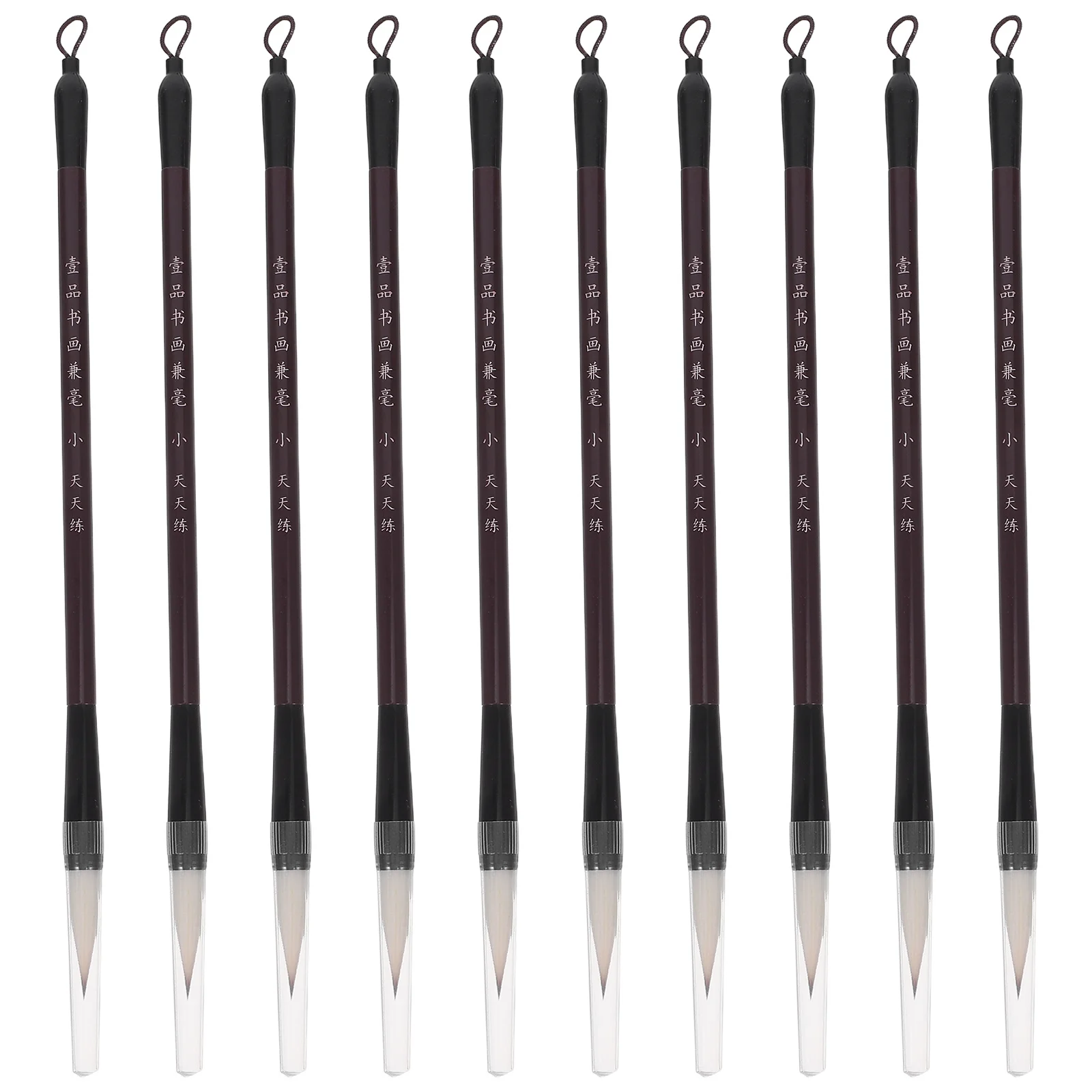 10Pcs Chinese Calligraphy Brush Set Wooden Handle Smooth Writing for Beginners Students Practice Traditional Painting Drawing
10Pcs Chinese Calligraphy Brush Set Wooden Handle Smooth Writing for Beginners Students Practice Traditional Painting Drawing