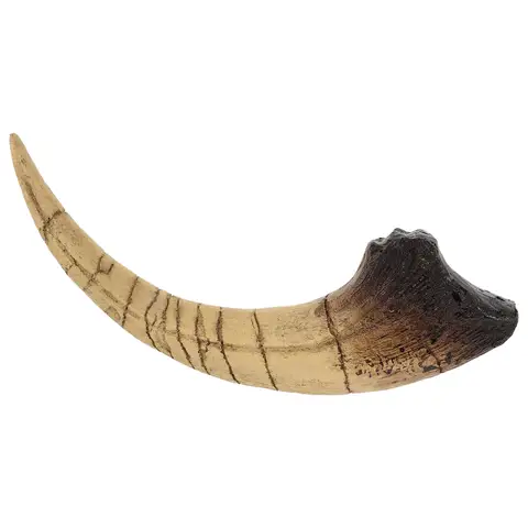 Realistic Resin Dinosaur Claw Sculpture, Simulated Tyrannosaurus Claw Statue, Prehistoric Animal Bone for Room Party Decoration