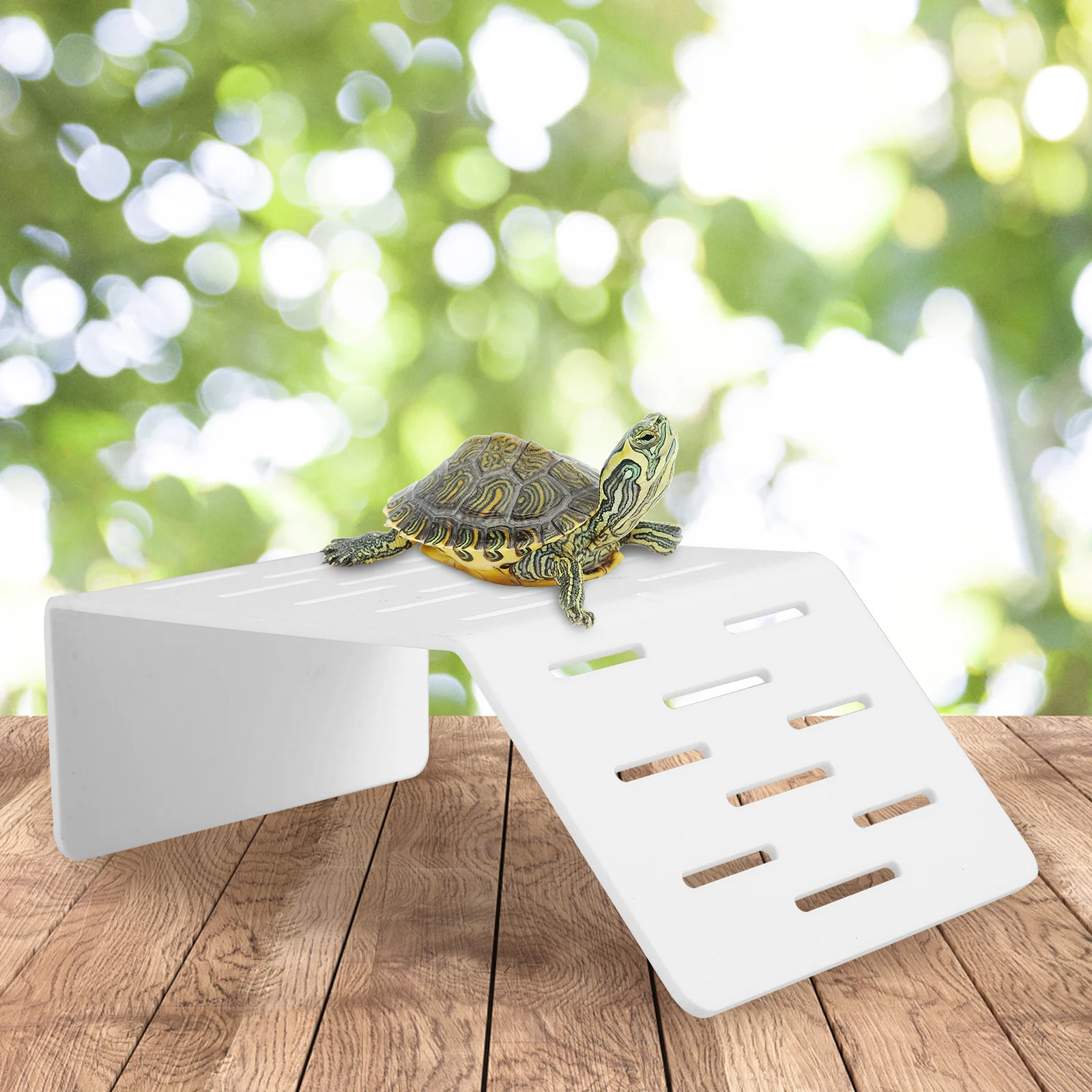 Plastic Turtle Platform for Aquarium Basking Rest Stand Reptile Tank Decoration Fish Tank Supply Terrarium Accessories
Plastic Turtle Platform for Aquarium Basking Rest Stand Reptile Tank Decoration Fish Tank Supply Terrarium Accessories