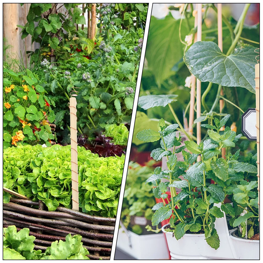 Набор медных антенн для электрокультуры растений, высокогибкий комплект антенн из цельной медной проволоки для декора растений своими руками
Набор медных антенн для электрокультуры растений, высокогибкий комплект антенн из цельной медной проволоки для декора растений своими руками