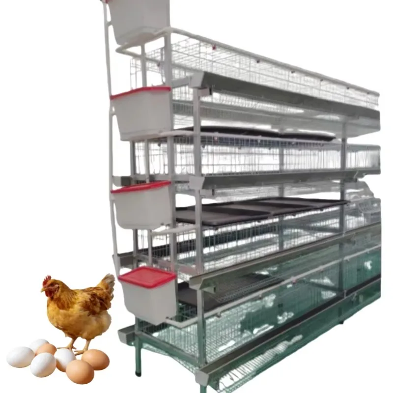 H Type Layer Chicken Cage Manual System for Small To Medium Poultry Farming Operations
H Type Layer Chicken Cage Manual System for Small To Medium Poultry Farming Operations