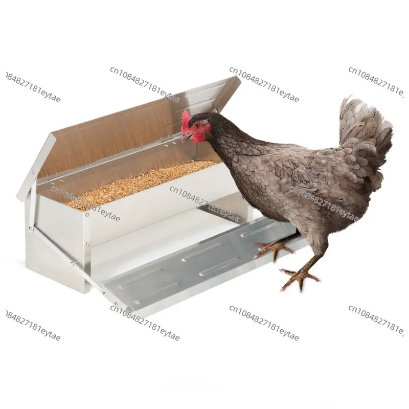 5Kg capacity 8.2L chicken food box outdoor poultry pedal automatically opens the chicken feeding trough
5Kg capacity 8.2L chicken food box outdoor poultry pedal automatically opens the chicken feeding trough