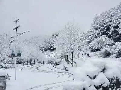 Краска-корректор для удаления царапин Mazda 3, CX-4, CX-5, CX-30, ATZ, Atez 6, Soul Red
Краска-корректор для удаления царапин Mazda 3, CX-4, CX-5, CX-30, ATZ, Atez 6, Soul Red