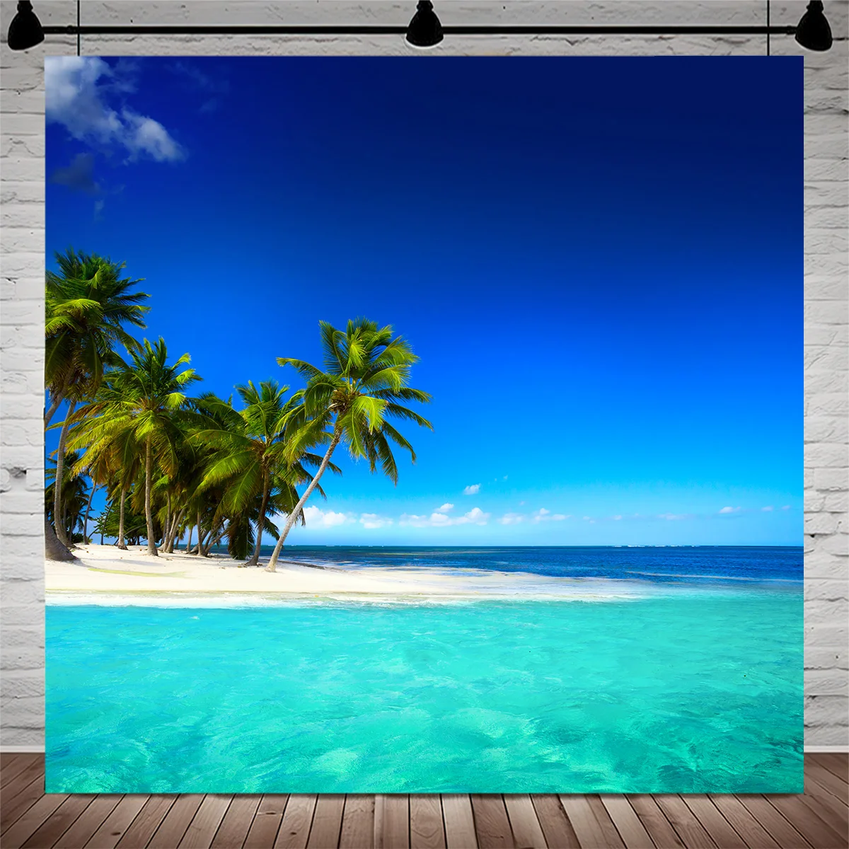 Tropical Beach Blue Sky Cloud Sunshine Photography Background Summer Vacation Scenery Birthday Party Studio Backdrops CS04
Tropical Beach Blue Sky Cloud Sunshine Photography Background Summer Vacation Scenery Birthday Party Studio Backdrops CS04