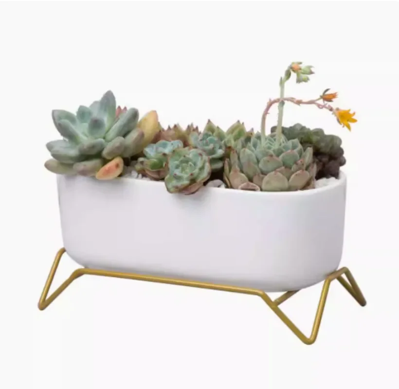 White Ceramic Flowerpot with Gold Metal Stand Succulent Plant Pot Cactus Planter with Drain Hole Oval Rectangle Flower Pot
White Ceramic Flowerpot with Gold Metal Stand Succulent Plant Pot Cactus Planter with Drain Hole Oval Rectangle Flower Pot