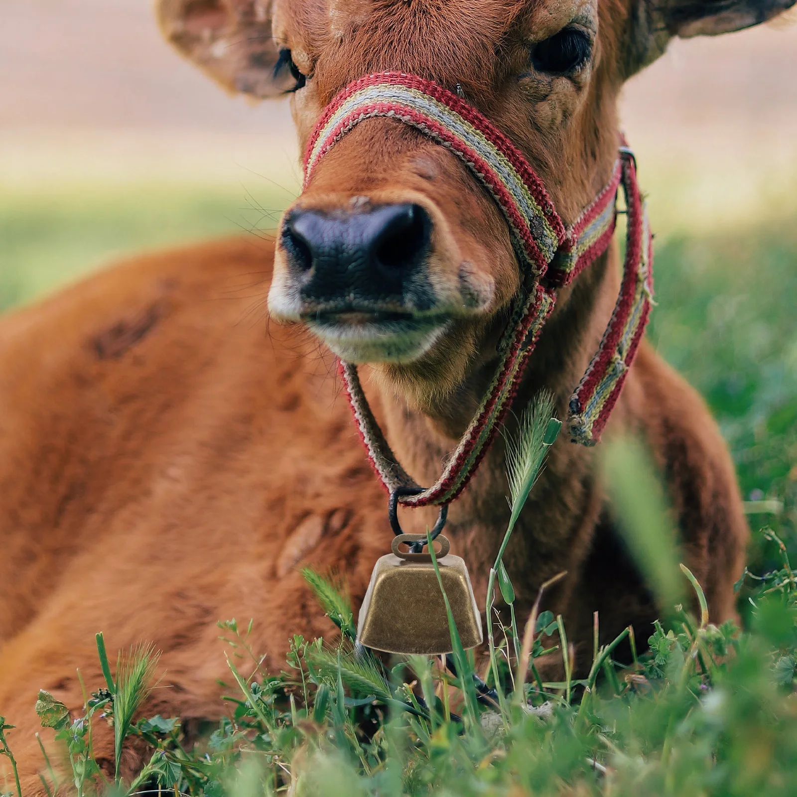 6Pcs Small Cow Bells Metal Ringing Bells for Pets Livestock Farmhouse Decorations Cow Bell Cowbells for Sporting Events
6Pcs Small Cow Bells Metal Ringing Bells for Pets Livestock Farmhouse Decorations Cow Bell Cowbells for Sporting Events