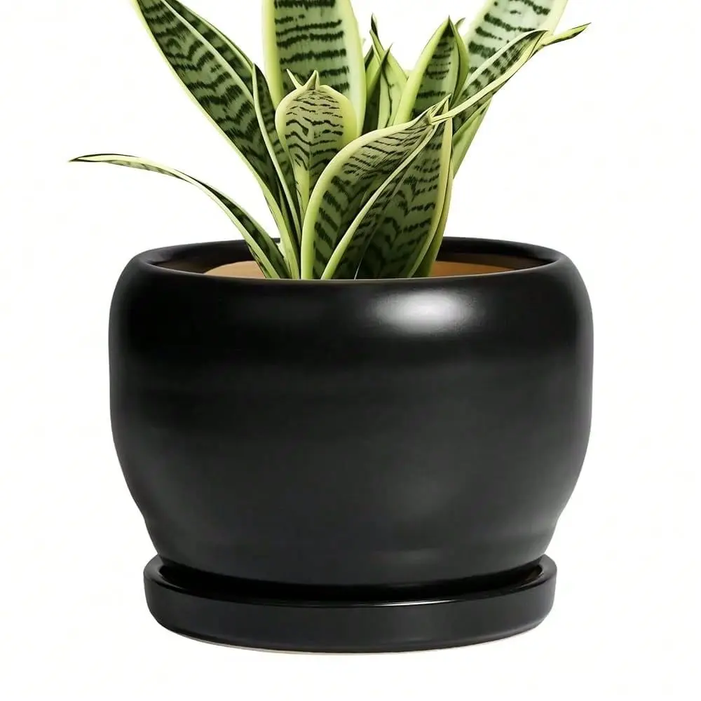 Ceramic Plant Pot 6 Inch Planter For Indoor Plants, Round Flower Pot With Drainage Hole And Saucer, Modern Succulent Planter Ou
Ceramic Plant Pot 6 Inch Planter For Indoor Plants, Round Flower Pot With Drainage Hole And Saucer, Modern Succulent Planter Ou