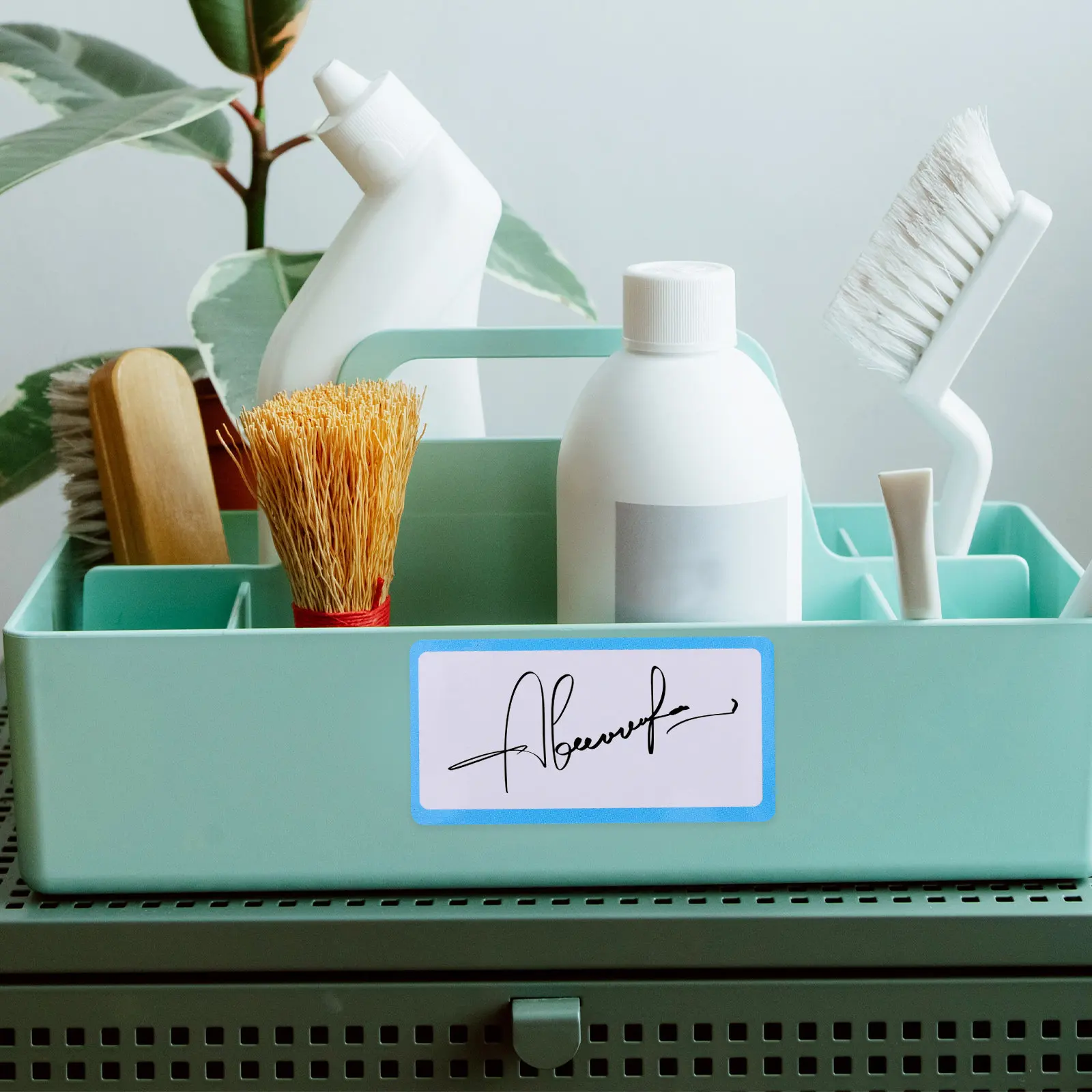 Magnetic Blank Cards Erasable Labels for Office Classroom Retail Name Tags Holders Shelf Labels Dry Erase Paper Whiteboard
Magnetic Blank Cards Erasable Labels for Office Classroom Retail Name Tags Holders Shelf Labels Dry Erase Paper Whiteboard