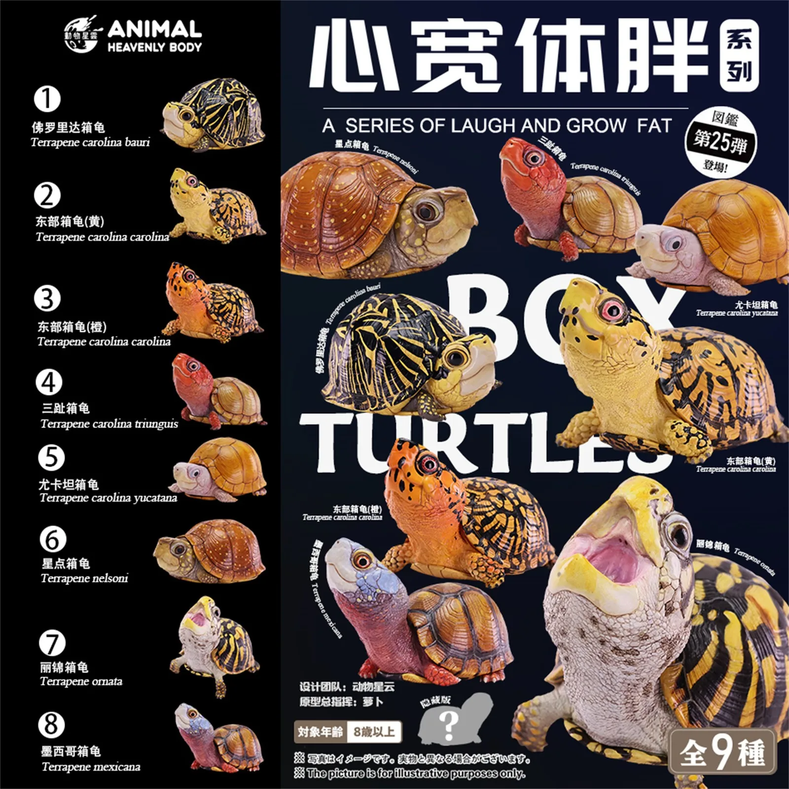 Animal Heavenly Body 25 Terrapene Model Florida Box Turtle Animal A Series of Laugh And Grow Fat Scene Decor Birthday Gift
Animal Heavenly Body 25 Terrapene Model Florida Box Turtle Animal A Series of Laugh And Grow Fat Scene Decor Birthday Gift