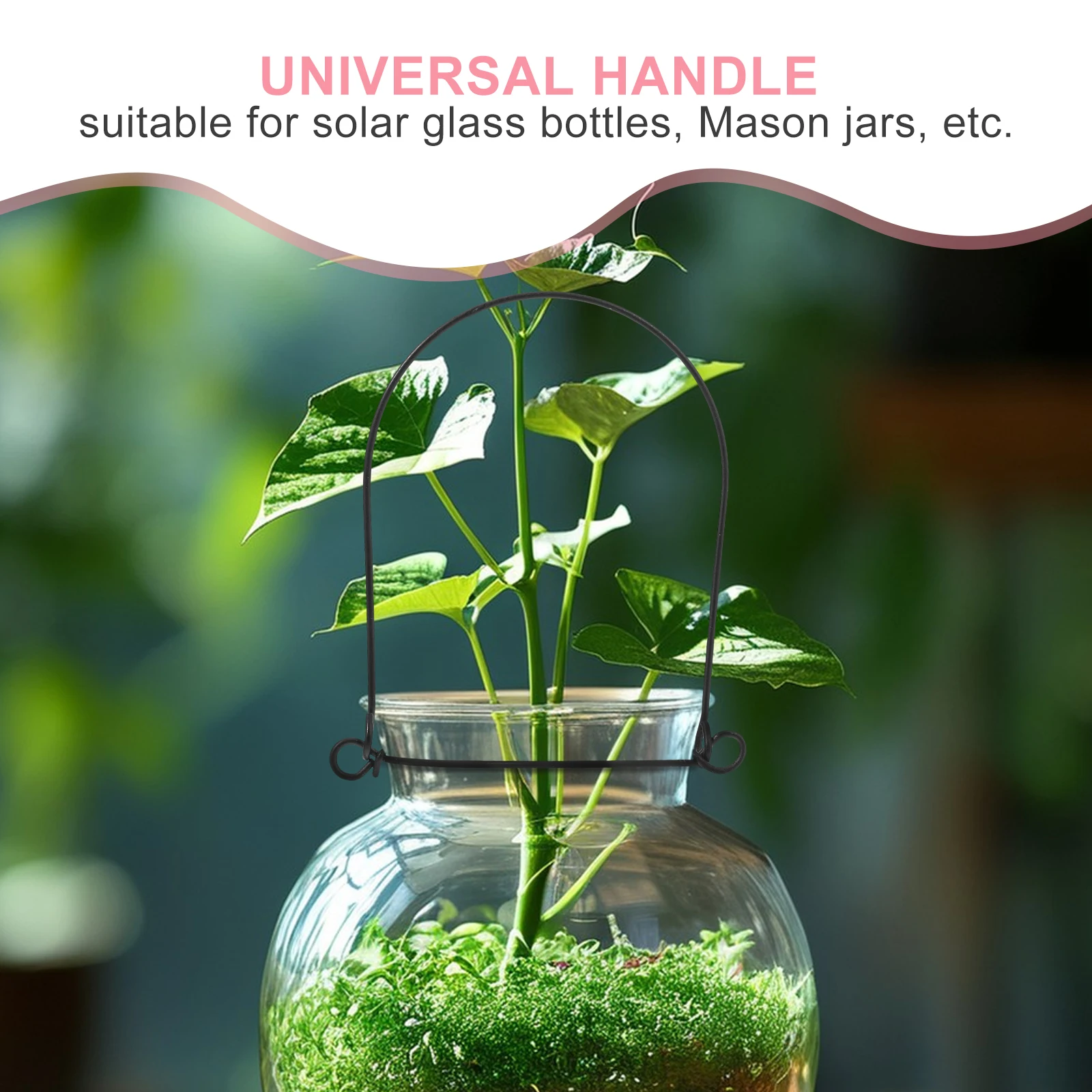 10 Pcs Jar Handle Canning Hangers Electric Wire Handles Stainless Steel Rope Decorative
10 Pcs Jar Handle Canning Hangers Electric Wire Handles Stainless Steel Rope Decorative