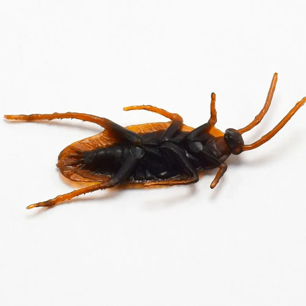 100Pcs Lifelike Fake Cockroach Prank Props Realistic Simulation Bugs for Halloween Party Trick Games Scary Fun Decoration Pranks
100Pcs Lifelike Fake Cockroach Prank Props Realistic Simulation Bugs for Halloween Party Trick Games Scary Fun Decoration Pranks
