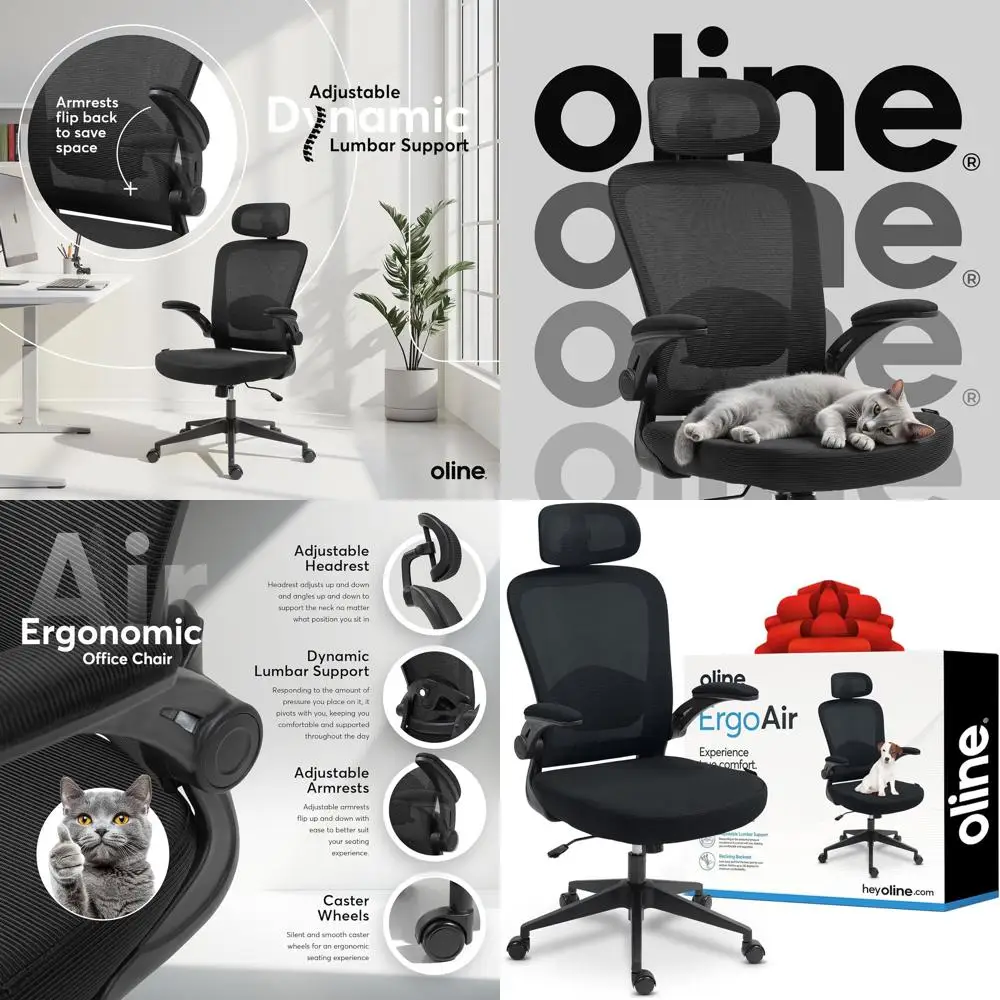 Эргономичное поворотное кресло с регулируемой поясничной опорой и откидными подлокотниками для дома и офиса (черное)
Эргономичное поворотное кресло с регулируемой поясничной опорой и откидными подлокотниками для дома и офиса (черное)