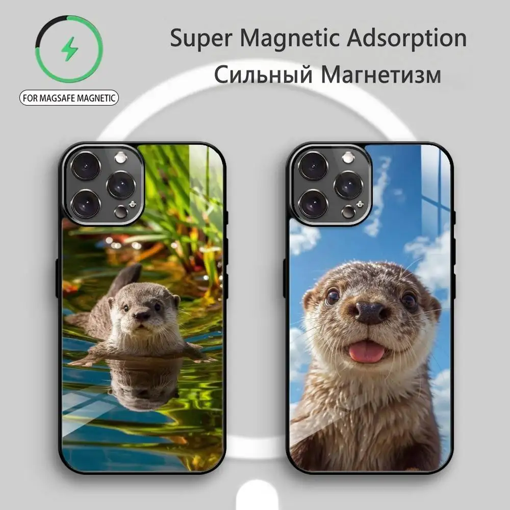 So adorable R-River otter Phone Case For iPhone17,16,15,14,13,12,11 Plus,Pro Max Magnetic For Magsafe Wireless Charging
So adorable R-River otter Phone Case For iPhone17,16,15,14,13,12,11 Plus,Pro Max Magnetic For Magsafe Wireless Charging