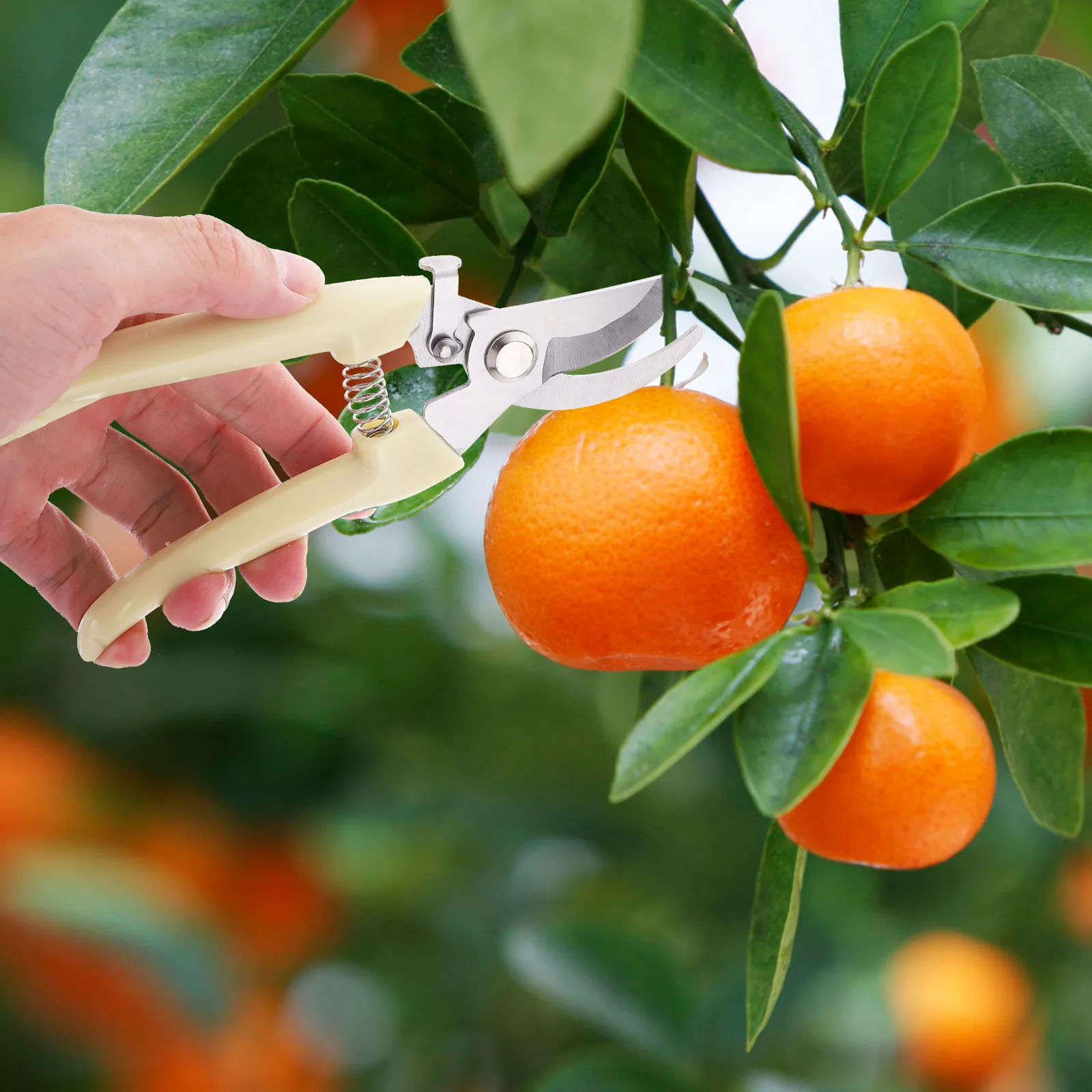 Секатор из нержавеющей стали, легкий, простой в использовании, для кустарников, садов, небольших деревьев, садовые принадлежности для обрезки веток
Секатор из нержавеющей стали, легкий, простой в использовании, для кустарников, садов, небольших деревьев, садовые принадлежности для обрезки веток