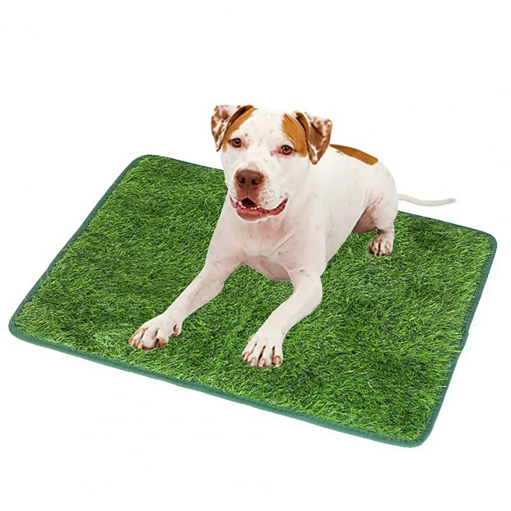 Pet Pee Mat Absorbent Fake Grass Pee Pads for Dogs Dog Training Pad Reusable Dog Pee Grass Ground Protection perros Supplies
Pet Pee Mat Absorbent Fake Grass Pee Pads for Dogs Dog Training Pad Reusable Dog Pee Grass Ground Protection perros Supplies