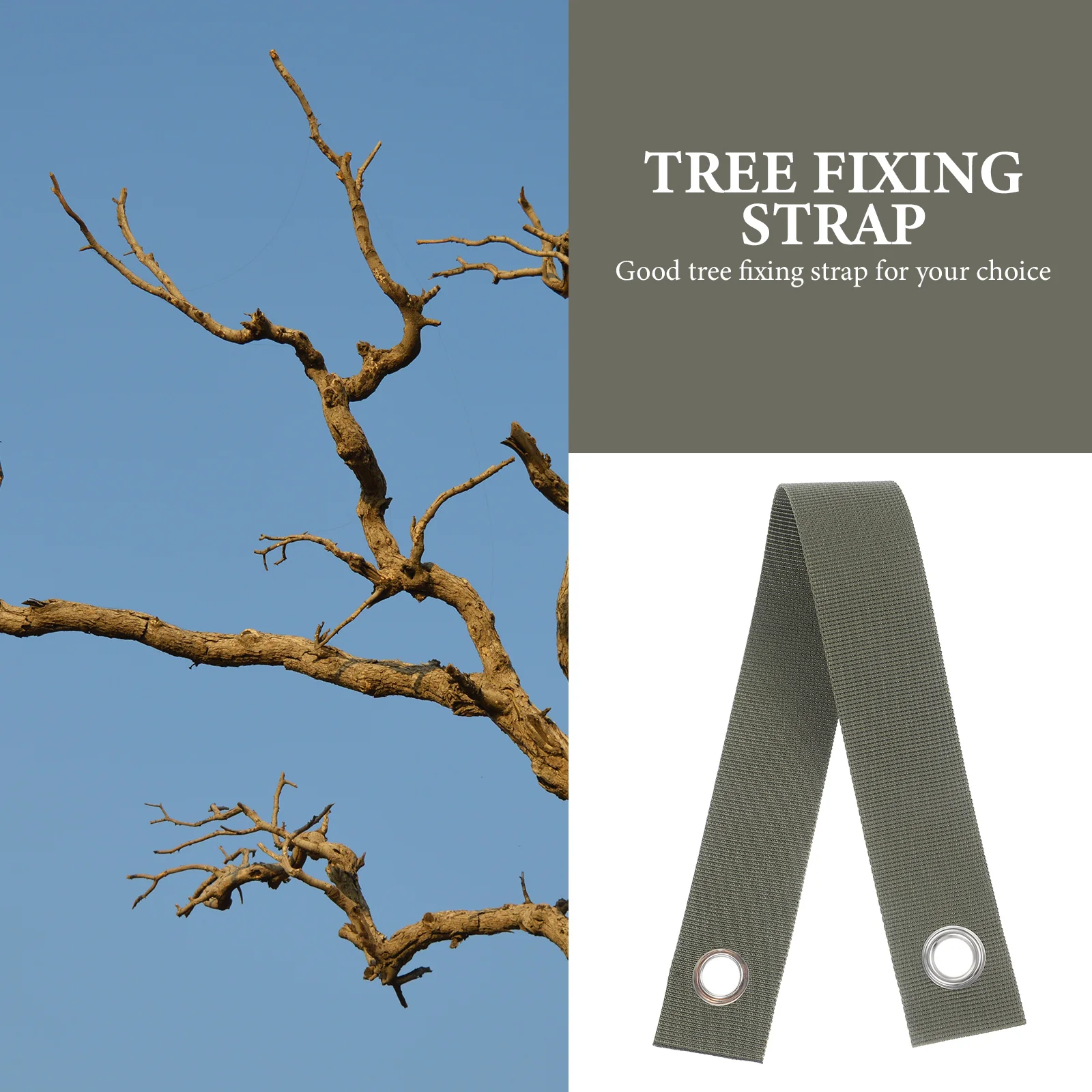 8Pcs Tree Staking Strap Strong Wear Resistant Garden Tree Support for Branches Shrubs and Large Trees Plant Support Strap
8Pcs Tree Staking Strap Strong Wear Resistant Garden Tree Support for Branches Shrubs and Large Trees Plant Support Strap