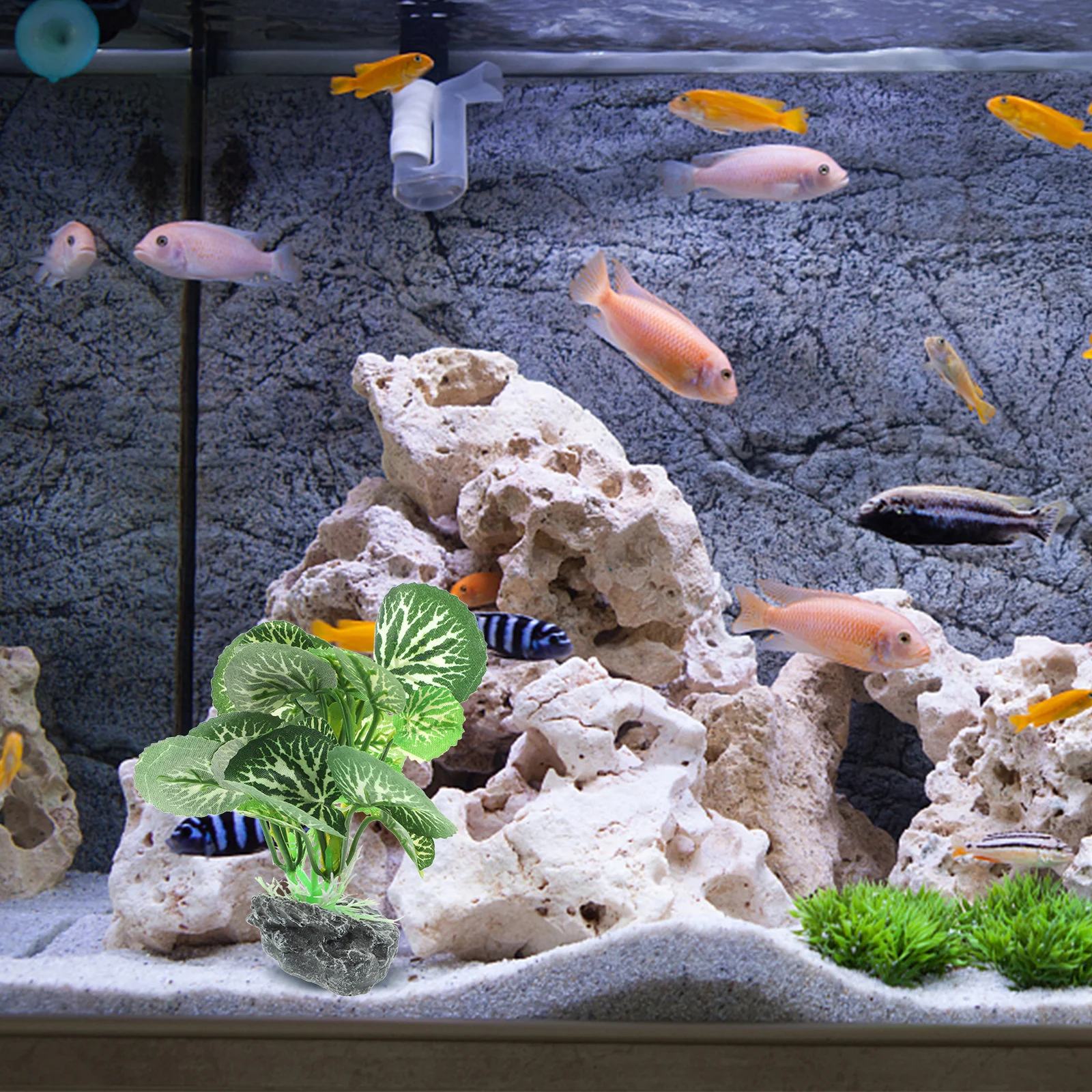 Artificial Plant Decoration for Fish Tank Aquarium Realistic Plastic Plants Accessories Suitable Salt Water Durable Fish
Artificial Plant Decoration for Fish Tank Aquarium Realistic Plastic Plants Accessories Suitable Salt Water Durable Fish