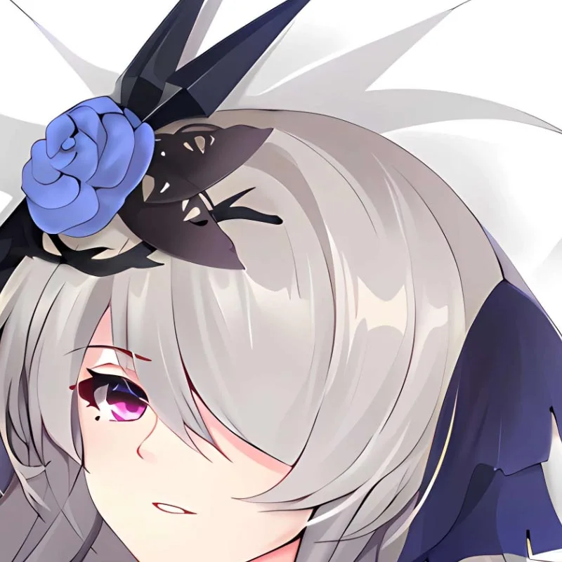 DIY Customized Dakimakura Anime Rossweisse Pillowcase Double-sided Print Pillow Cover Case
DIY Customized Dakimakura Anime Rossweisse Pillowcase Double-sided Print Pillow Cover Case