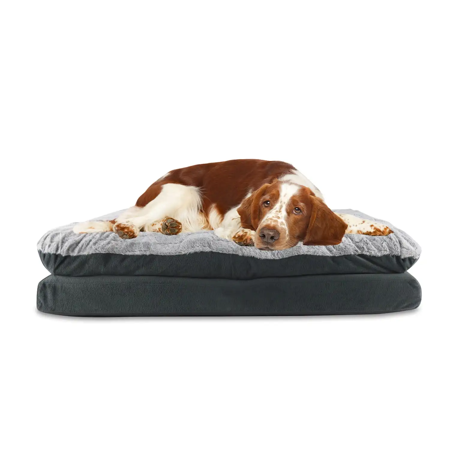 Arlee Pillow Topper Rectangle Pet Dog Bed - Orthopedic Therapeutic - Large/Extra Large (Choose Your Color)
Arlee Pillow Topper Rectangle Pet Dog Bed - Orthopedic Therapeutic - Large/Extra Large (Choose Your Color)