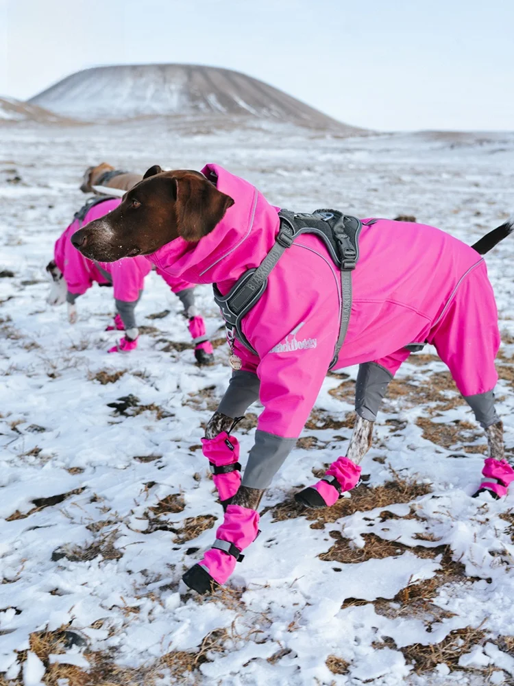 BlackDoggy Outdoor Winter Dog Jacket Fleece Lined Four Legged Christmas Themed Dog Clothes Waterproof And Warm Pet Apparel
BlackDoggy Outdoor Winter Dog Jacket Fleece Lined Four Legged Christmas Themed Dog Clothes Waterproof And Warm Pet Apparel