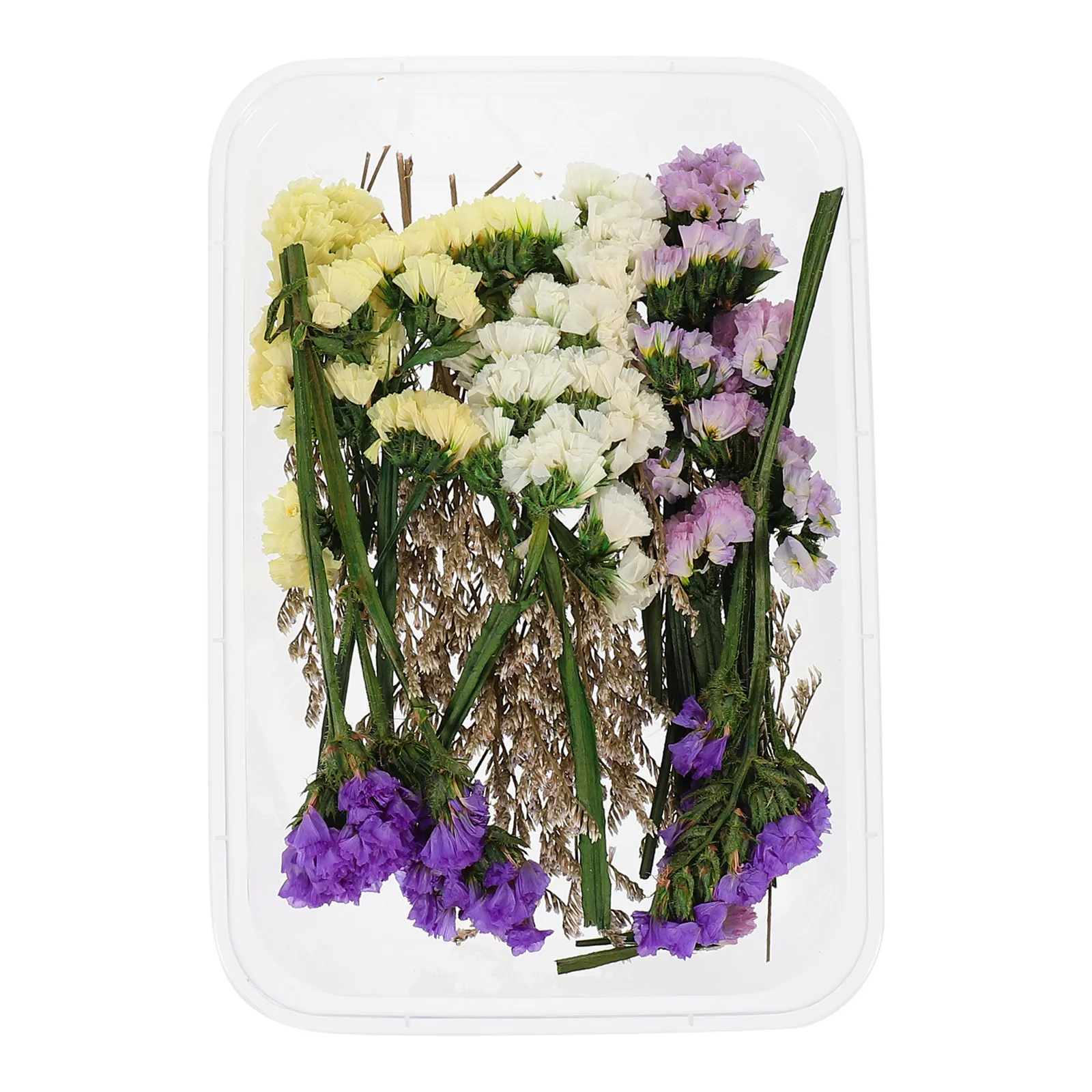 Dried Flowers for Dried Flower Crafts Vase Wedding Dining Table Filler DIY Floating Long Lasting Natural
Dried Flowers for Dried Flower Crafts Vase Wedding Dining Table Filler DIY Floating Long Lasting Natural