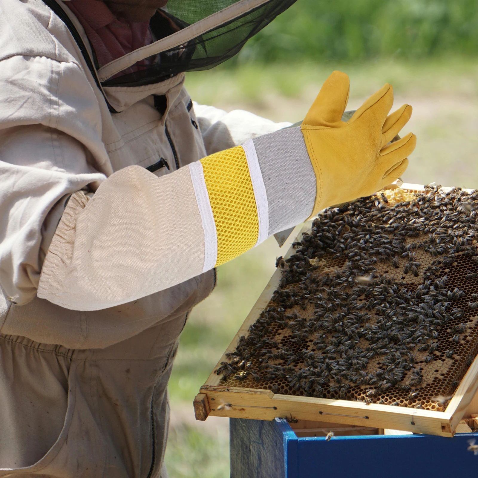 Anti-Bee Gloves Beekeeping Supplies Apiculture Equipment Unisex Long Elastic Cuffs Full Sleeves Prevention
Anti-Bee Gloves Beekeeping Supplies Apiculture Equipment Unisex Long Elastic Cuffs Full Sleeves Prevention