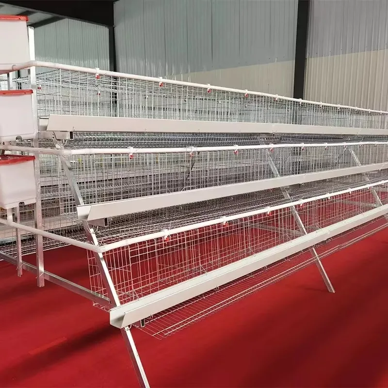 Poultry Farm Egg Laying Equipment Chicken Cages Egg Layer
Poultry Farm Egg Laying Equipment Chicken Cages Egg Layer