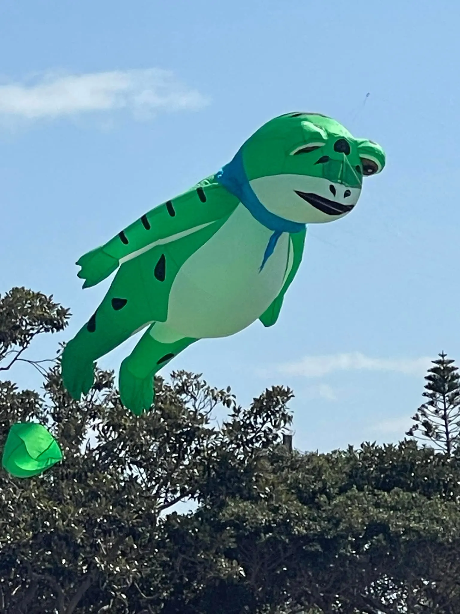 9KM 5m Frog Kite Laundry Pendant Soft Inflatable Show Kite for Kite Festival Ripstop Nylon Fabric with Bag (Accept wholesale)
9KM 5m Frog Kite Laundry Pendant Soft Inflatable Show Kite for Kite Festival Ripstop Nylon Fabric with Bag (Accept wholesale)