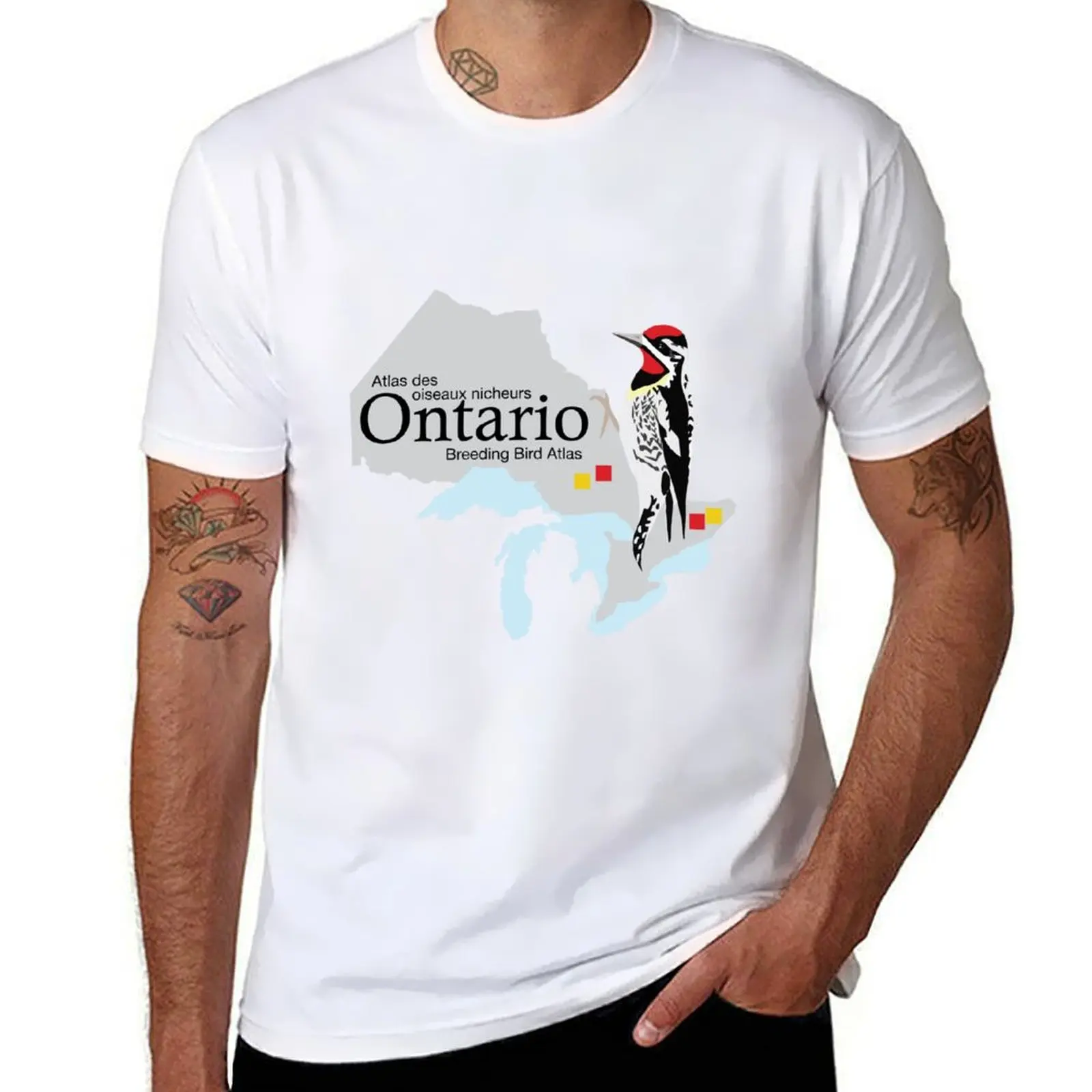 Ontario Breeding Bird Atlas Standard Logo T-Shirt kawaii clothes custom t-shirts man t shirt Men's t-shirt
Ontario Breeding Bird Atlas Standard Logo T-Shirt kawaii clothes custom t-shirts man t shirt Men's t-shirt