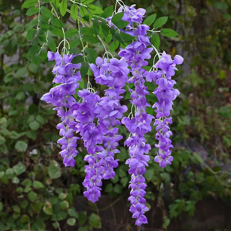 1/2pcs Simulated Wisteria Flowers 3-head of Plastic Wall Hanging Flowers Home Garden Weding Landscape Wisteria Flower String Dec
1/2pcs Simulated Wisteria Flowers 3-head of Plastic Wall Hanging Flowers Home Garden Weding Landscape Wisteria Flower String Dec