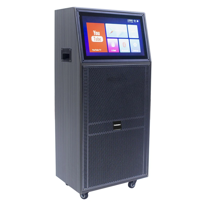 T Double 12 Inch Active Bluetooth Karaoke Portable Speakers Flashing Light Rechargeable Touch Screen Trolley Speaker
T Double 12 Inch Active Bluetooth Karaoke Portable Speakers Flashing Light Rechargeable Touch Screen Trolley Speaker