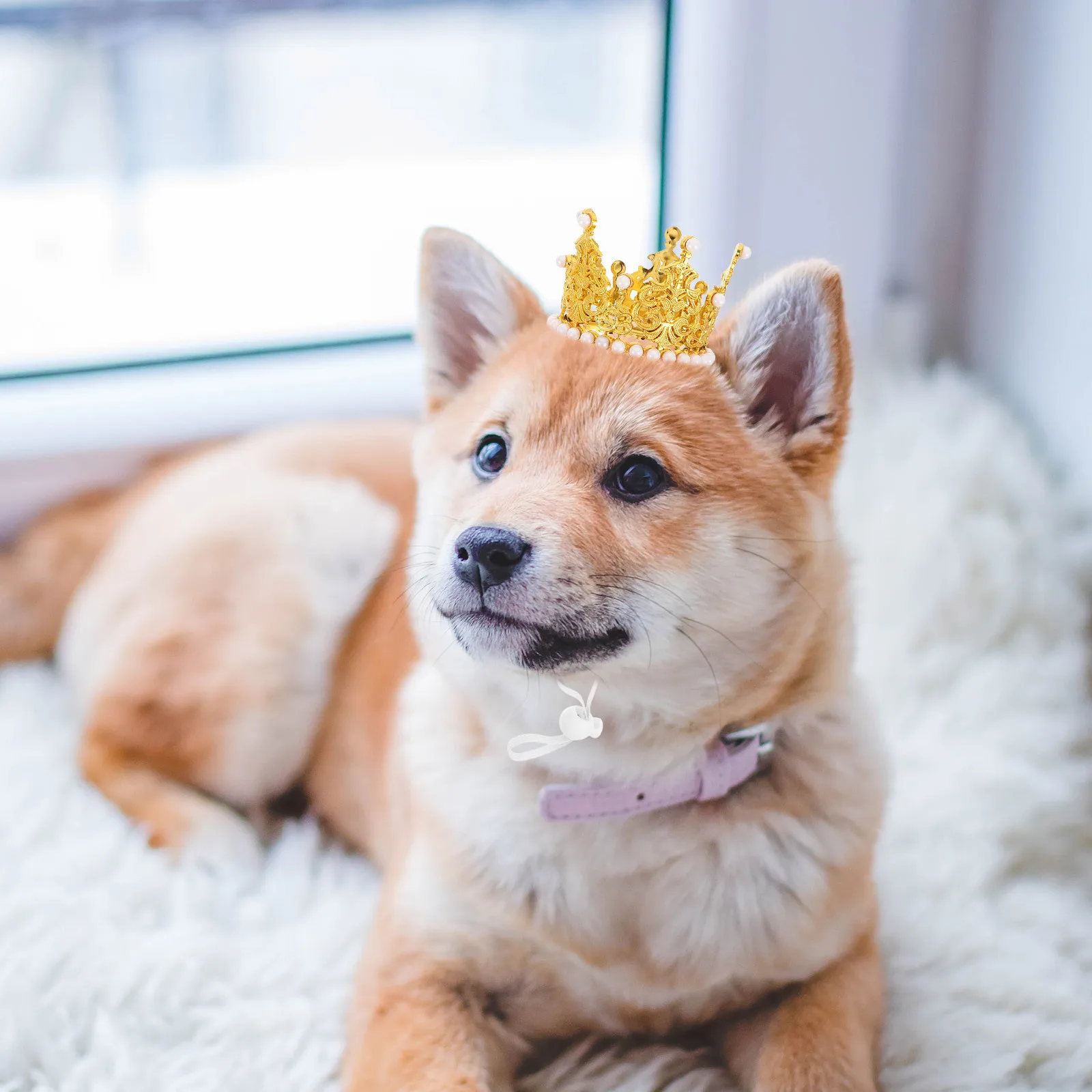 2Pcs Pet Crown Glitter Birthday Party Hats Adjustable Headband for Dogs Cats Small Pet Party Hat Photo Prop Costume Accessories
2Pcs Pet Crown Glitter Birthday Party Hats Adjustable Headband for Dogs Cats Small Pet Party Hat Photo Prop Costume Accessories