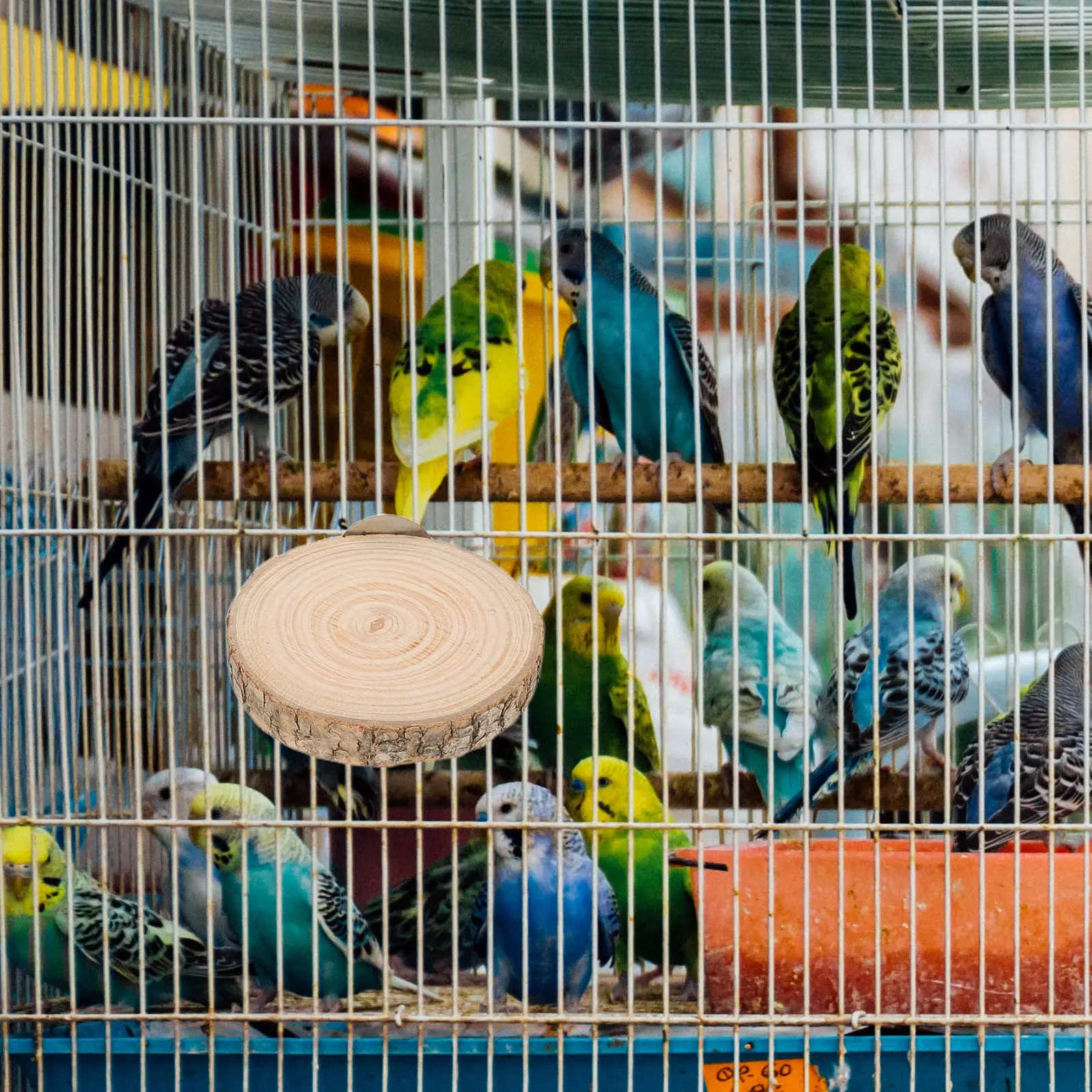 1Set Wood Parrot Perch Stand Natural Multi Branch Design Flat Platform Claw Grinding Stick Portable Large Bird Cage Accessories
1Set Wood Parrot Perch Stand Natural Multi Branch Design Flat Platform Claw Grinding Stick Portable Large Bird Cage Accessories