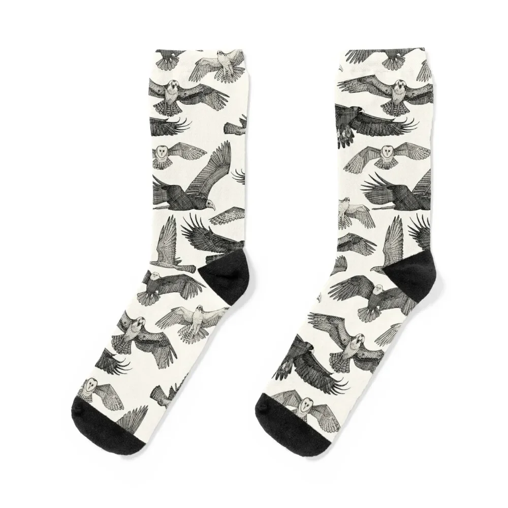 birds of prey black Socks new year valentine gift ideas custom sports sports stockings Male Socks Women's
birds of prey black Socks new year valentine gift ideas custom sports sports stockings Male Socks Women's