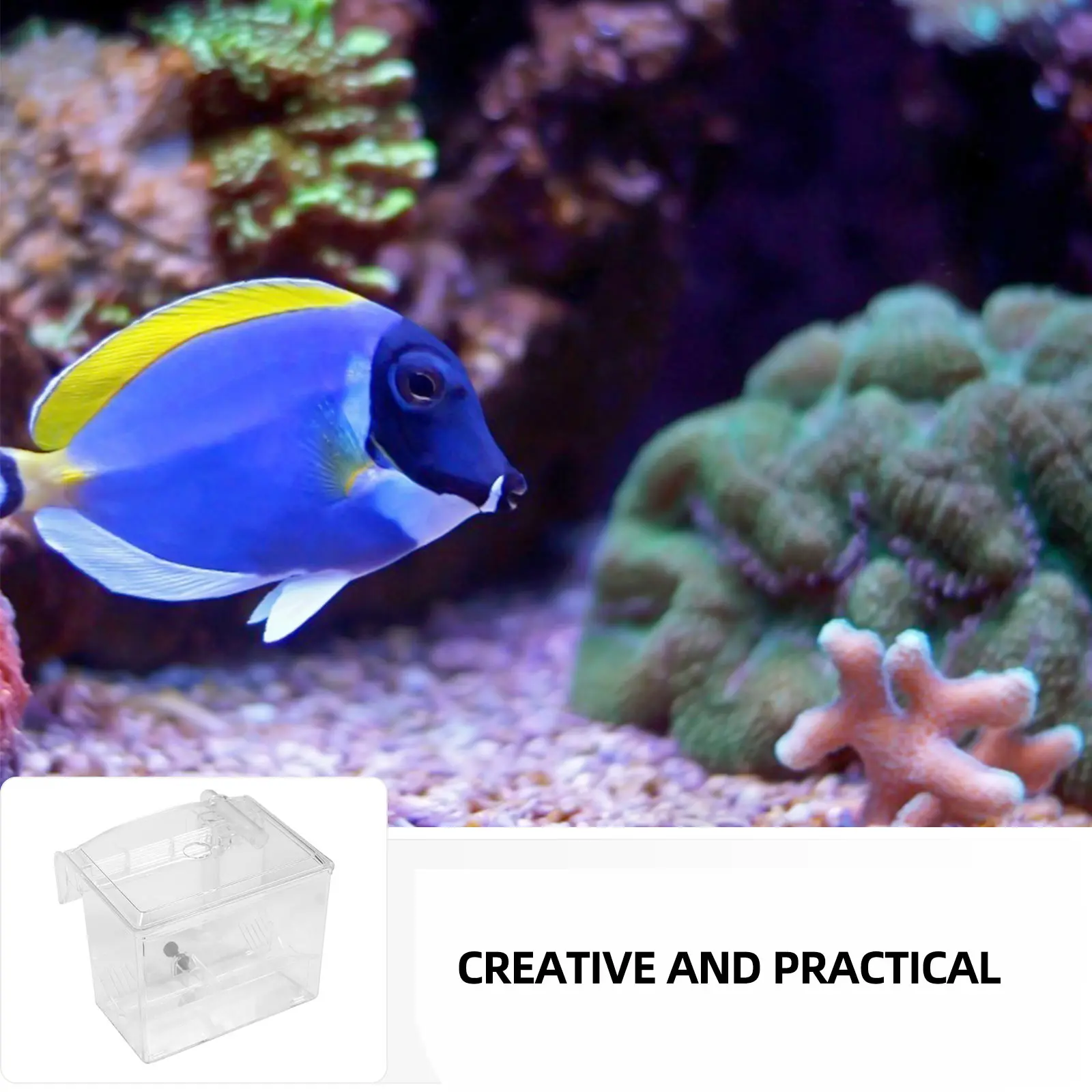 1pc Plastic Aquarium Fish Tank Hatching Incubator Isolation Box for Breeding Cave Accessories Guppy Strainers Oxygen Supply Wall
1pc Plastic Aquarium Fish Tank Hatching Incubator Isolation Box for Breeding Cave Accessories Guppy Strainers Oxygen Supply Wall