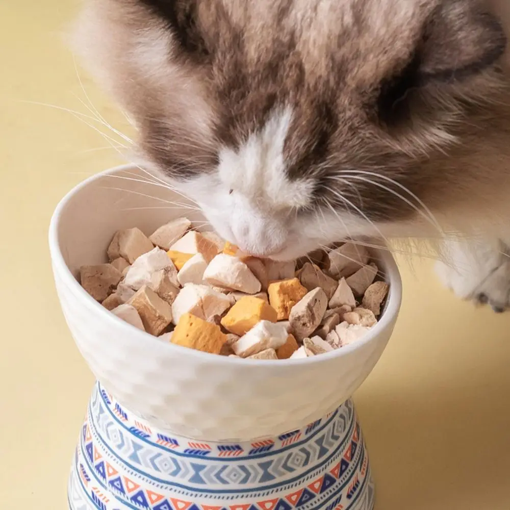 Food Dispenser Ceramic Cat Bowl Creative Cute Dog Food Feeding Basin Multi-use Non-slip Pet High Foot Bowl Water Container
Food Dispenser Ceramic Cat Bowl Creative Cute Dog Food Feeding Basin Multi-use Non-slip Pet High Foot Bowl Water Container