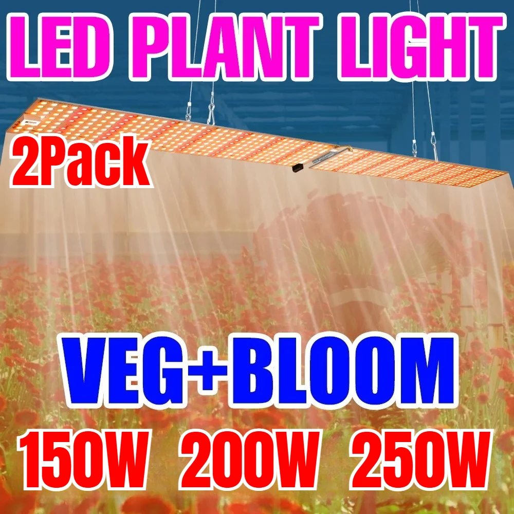 2Pack 250W LED Full Spectrum Grow Light Quantum Board Plant Lamp Indoor Flower Tent Herbage Vegetables Fill Lighting US/EU Plug
2Pack 250W LED Full Spectrum Grow Light Quantum Board Plant Lamp Indoor Flower Tent Herbage Vegetables Fill Lighting US/EU Plug