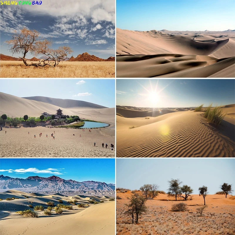 Vast Sand Dunes Blazing Sun Desert Photography Backdrops Sunset Sky Rocks Safari Landscape Dried Tree Birthday Background DS-05
Vast Sand Dunes Blazing Sun Desert Photography Backdrops Sunset Sky Rocks Safari Landscape Dried Tree Birthday Background DS-05