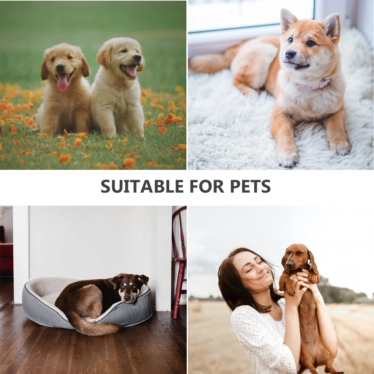 Nylon Puppy Pulling Tow Strap Belt Durable Traction Rope Pet Supply Pet Dog Pull Strap Dog Pulling Rope
Nylon Puppy Pulling Tow Strap Belt Durable Traction Rope Pet Supply Pet Dog Pull Strap Dog Pulling Rope